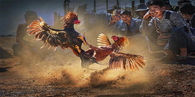 kubet 3993 đăng nhập roulette số 1