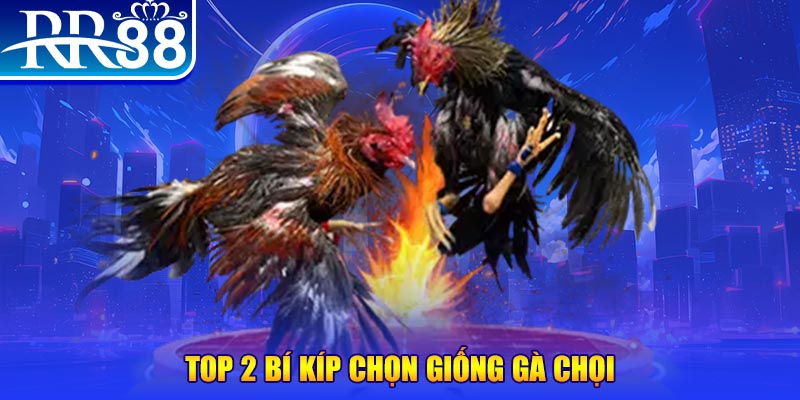 kubet 3993 đăng nhập roulette dễ thắng