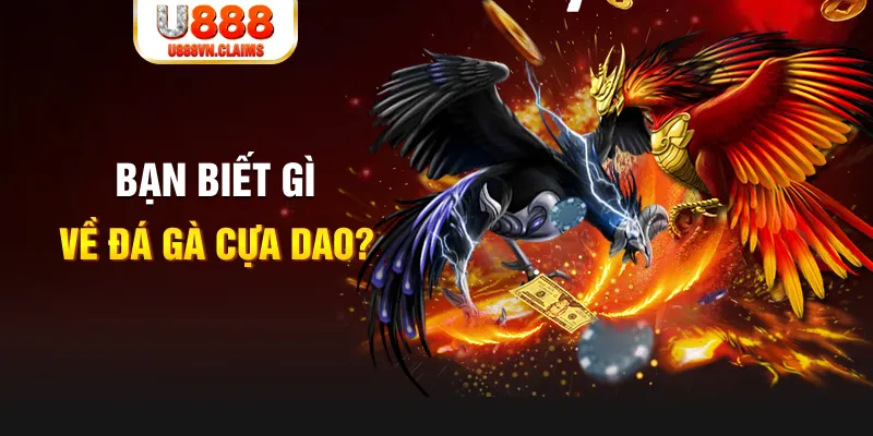 kubet 3993 xổ số kiến thiết