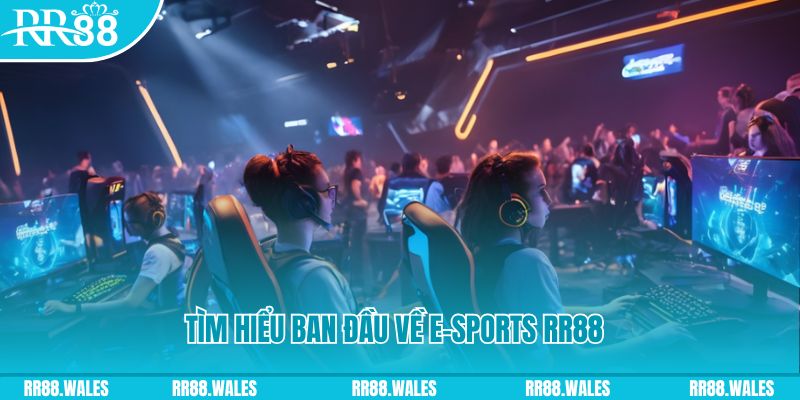 kubet 3993 Đĩa màu ace