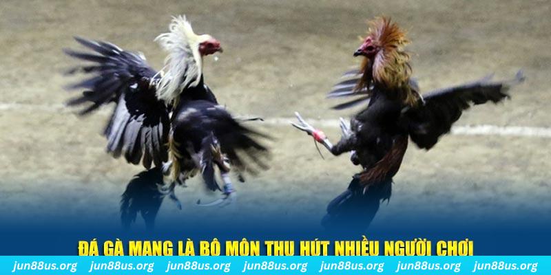 kubet 3993 xổ số cà mau