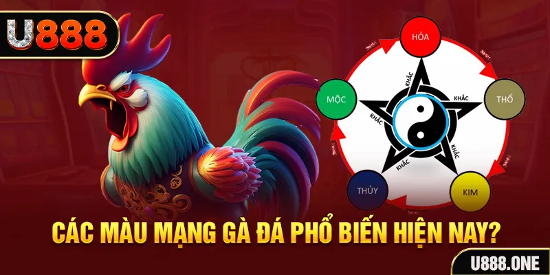 kubet 3993 đăng nhập mậu binh