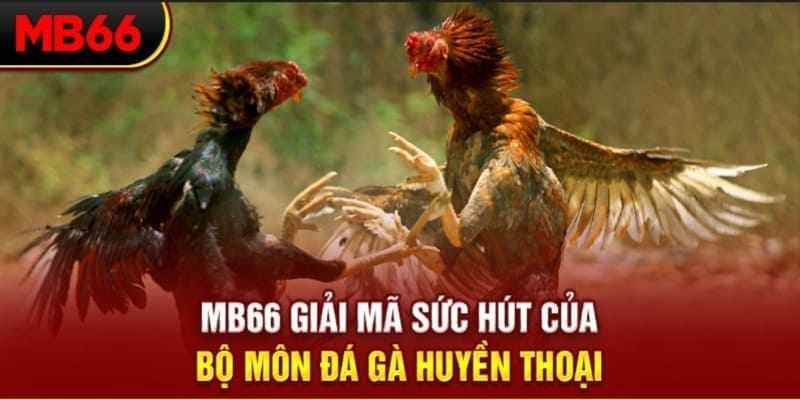 kubet 3993 Phi Đội Ưu Tú