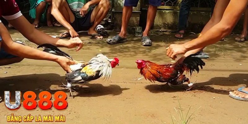 kubet 3993 đăng nhập mậu binh rút tiền nhanh