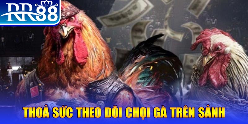 kubet 3993 đá gà 88.com
