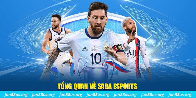 kubet 3993 gà chọi c1 tv trực tiếp hôm nay